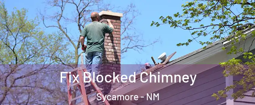 Fix Blocked Chimney Sycamore - NM