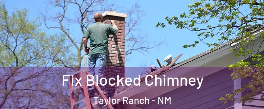 Fix Blocked Chimney Taylor Ranch - NM