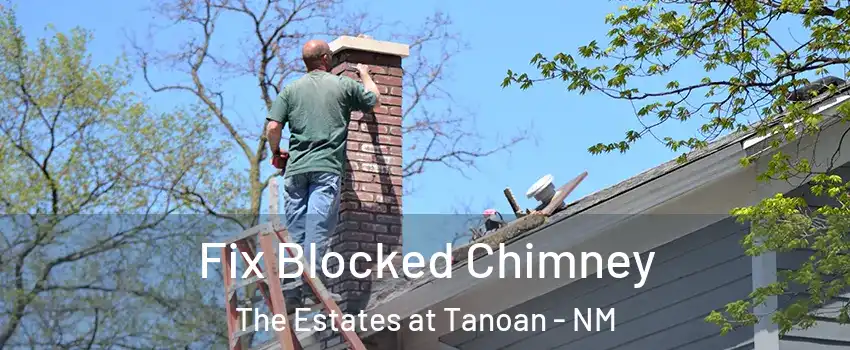 Fix Blocked Chimney The Estates at Tanoan - NM