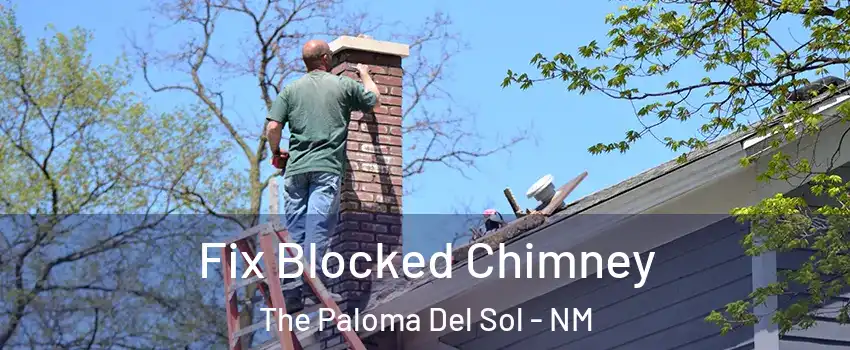Fix Blocked Chimney The Paloma Del Sol - NM