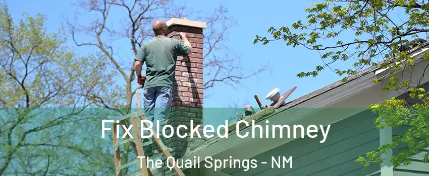 Fix Blocked Chimney The Quail Springs - NM