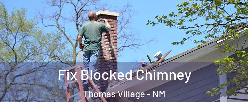 Fix Blocked Chimney Thomas Village - NM
