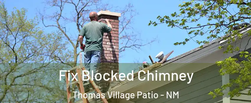 Fix Blocked Chimney Thomas Village Patio - NM