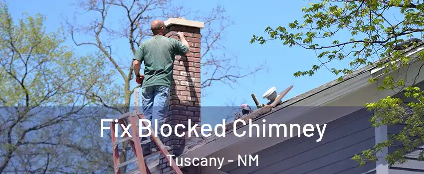 Fix Blocked Chimney Tuscany - NM
