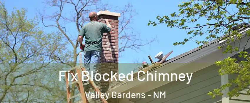 Fix Blocked Chimney Valley Gardens - NM