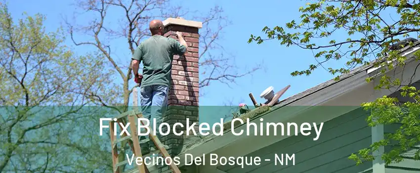 Fix Blocked Chimney Vecinos Del Bosque - NM