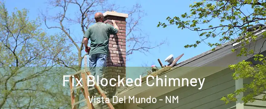 Fix Blocked Chimney Vista Del Mundo - NM