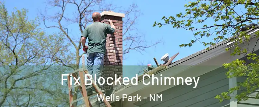 Fix Blocked Chimney Wells Park - NM