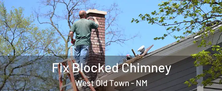 Fix Blocked Chimney West Old Town - NM