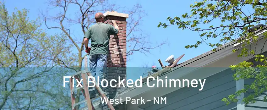 Fix Blocked Chimney West Park - NM