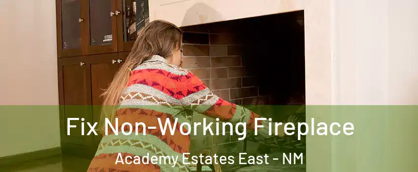 Fix Non-Working Fireplace Academy Estates East - NM