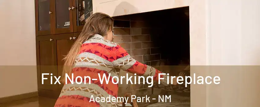 Fix Non-Working Fireplace Academy Park - NM