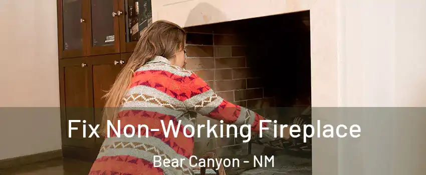 Fix Non-Working Fireplace Bear Canyon - NM