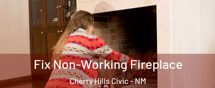 Fix Non-Working Fireplace Cherry Hills Civic - NM