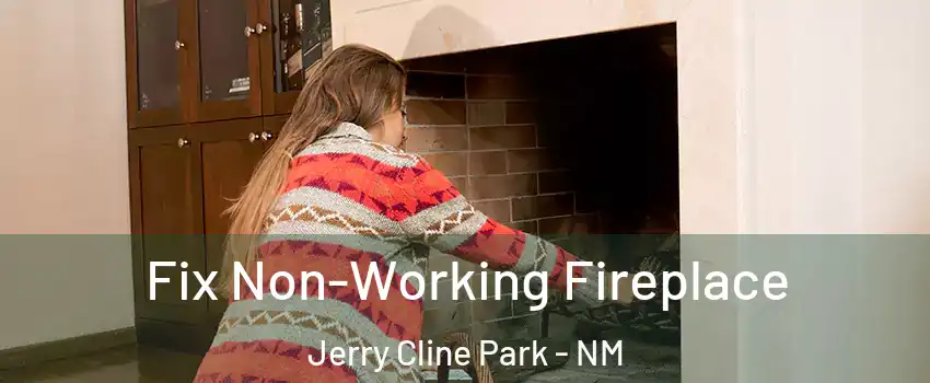 Fix Non-Working Fireplace Jerry Cline Park - NM