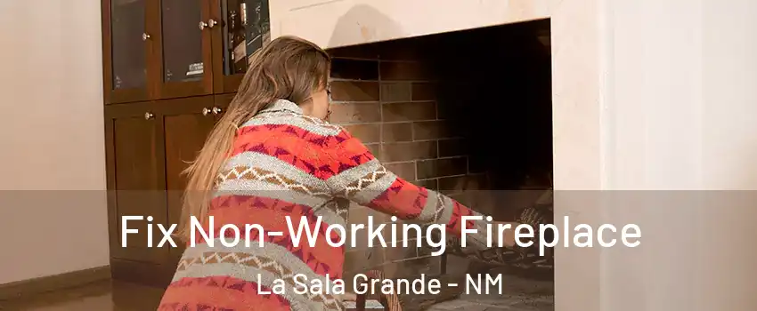 Fix Non-Working Fireplace La Sala Grande - NM