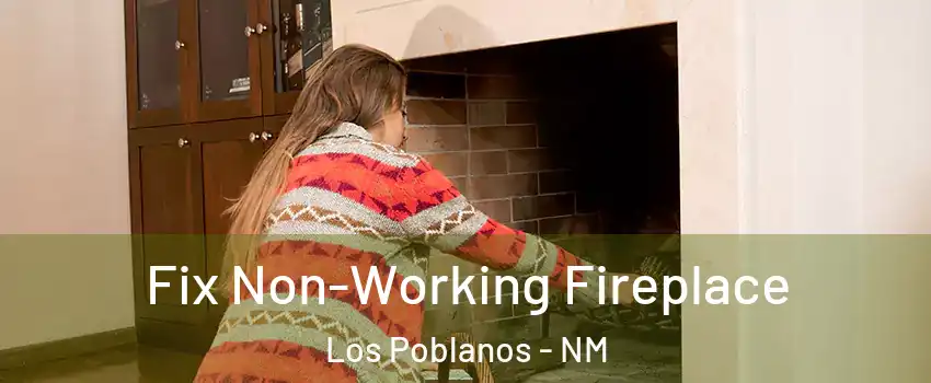 Fix Non-Working Fireplace Los Poblanos - NM