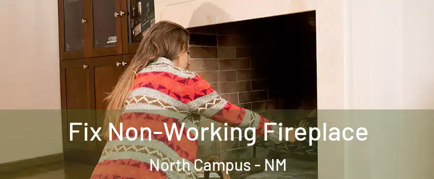Fix Non-Working Fireplace North Campus - NM