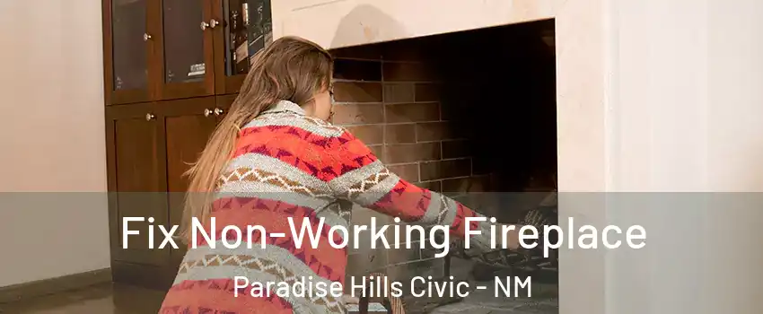 Fix Non-Working Fireplace Paradise Hills Civic - NM