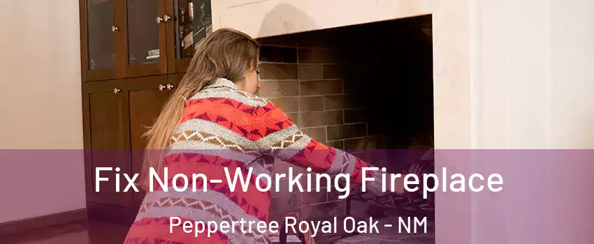 Fix Non-Working Fireplace Peppertree Royal Oak - NM