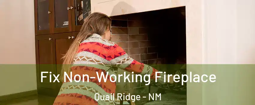 Fix Non-Working Fireplace Quail Ridge - NM