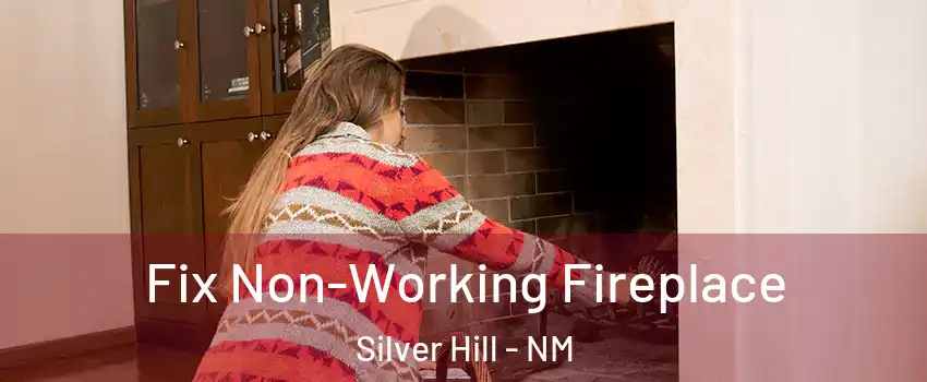 Fix Non-Working Fireplace Silver Hill - NM