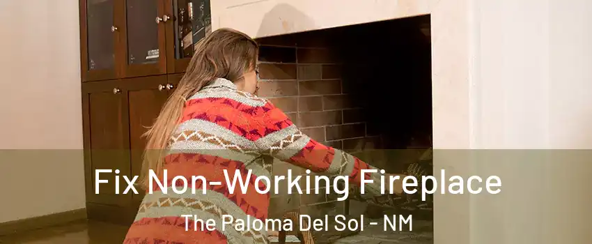 Fix Non-Working Fireplace The Paloma Del Sol - NM