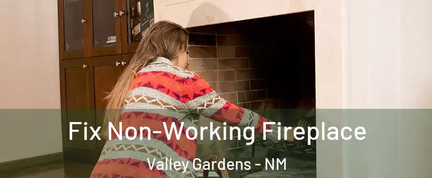 Fix Non-Working Fireplace Valley Gardens - NM