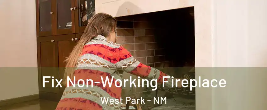 Fix Non-Working Fireplace West Park - NM