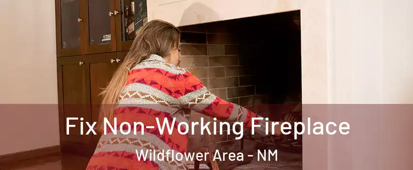 Fix Non-Working Fireplace Wildflower Area - NM