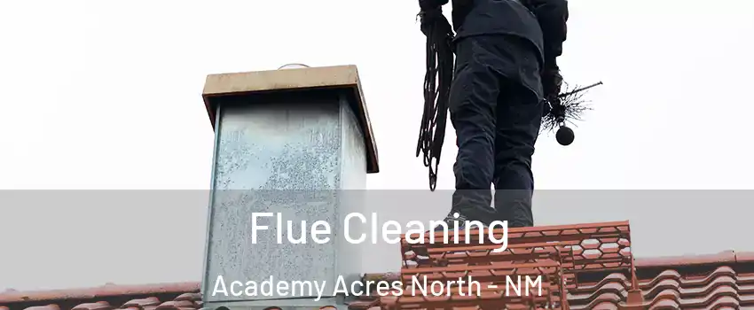 Flue Cleaning Academy Acres North - NM