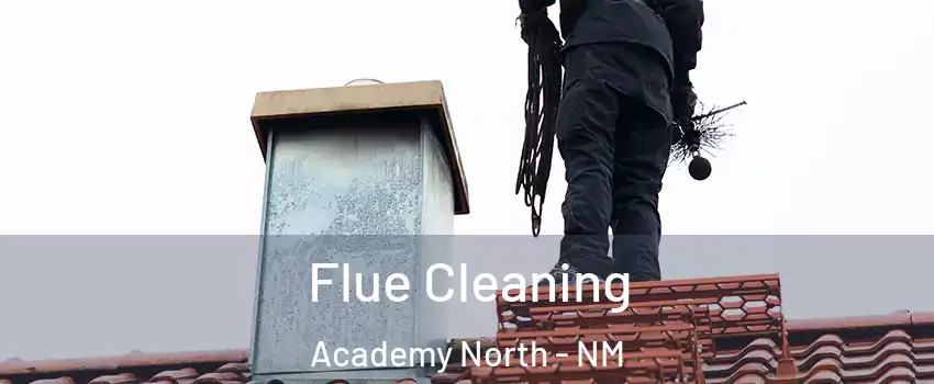 Flue Cleaning Academy North - NM