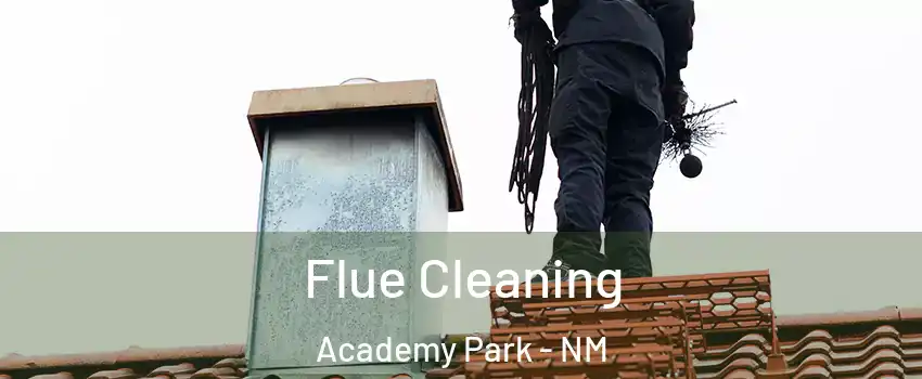 Flue Cleaning Academy Park - NM