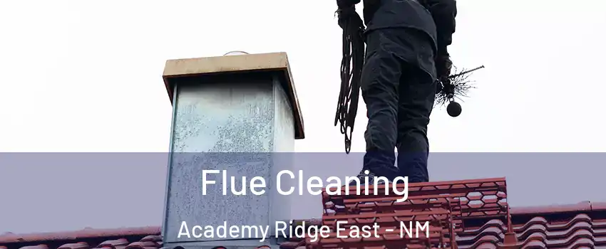 Flue Cleaning Academy Ridge East - NM