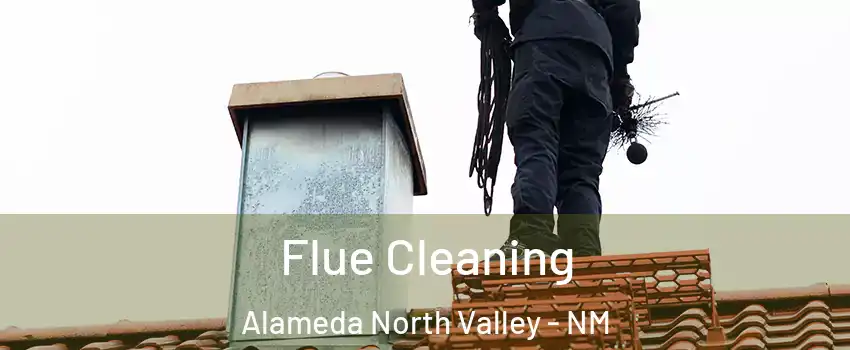 Flue Cleaning Alameda North Valley - NM