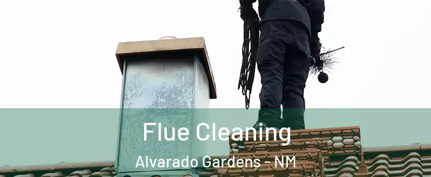 Flue Cleaning Alvarado Gardens - NM