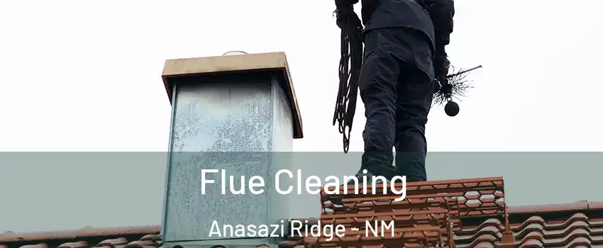 Flue Cleaning Anasazi Ridge - NM