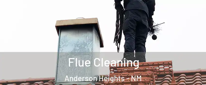 Flue Cleaning Anderson Heights - NM