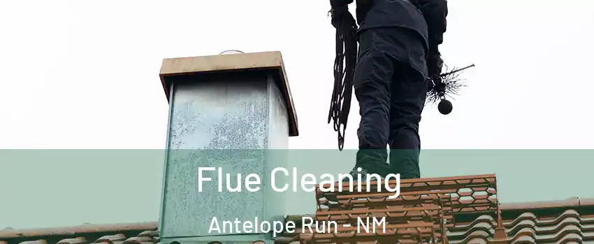 Flue Cleaning Antelope Run - NM