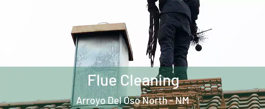 Flue Cleaning Arroyo Del Oso North - NM