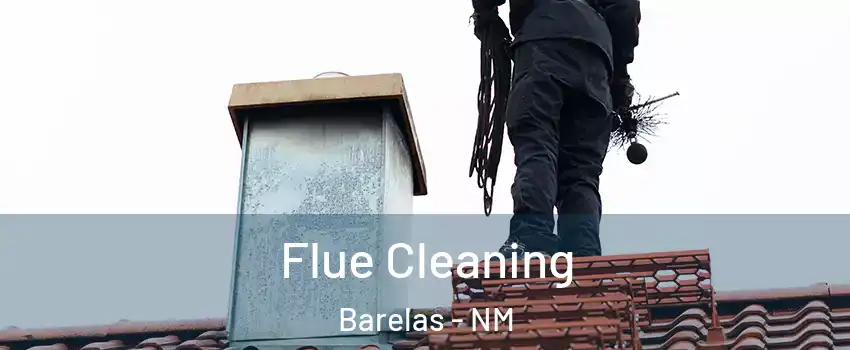 Flue Cleaning Barelas - NM