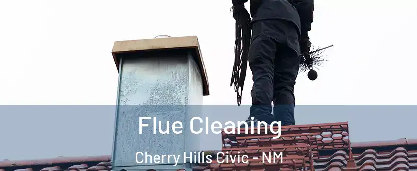 Flue Cleaning Cherry Hills Civic - NM