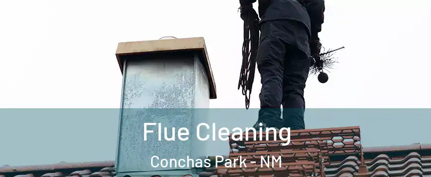 Flue Cleaning Conchas Park - NM
