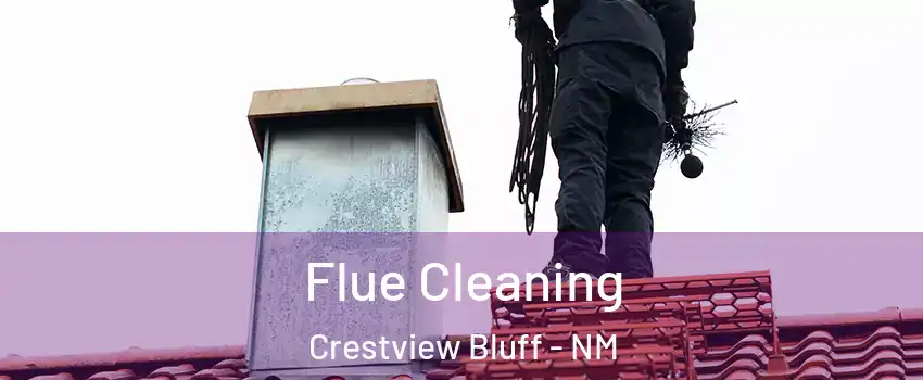 Flue Cleaning Crestview Bluff - NM