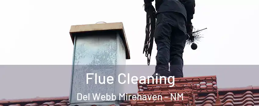 Flue Cleaning Del Webb Mirehaven - NM