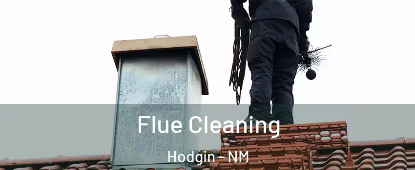 Flue Cleaning Hodgin - NM