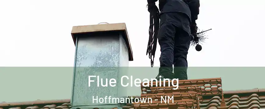 Flue Cleaning Hoffmantown - NM