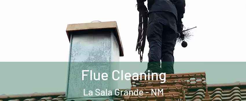 Flue Cleaning La Sala Grande - NM