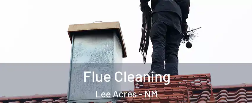 Flue Cleaning Lee Acres - NM