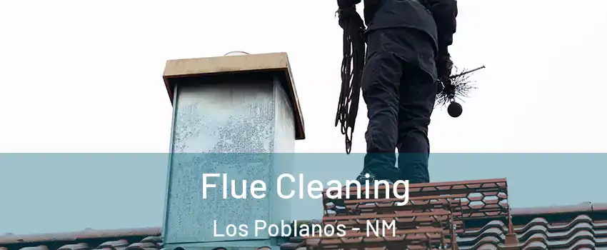Flue Cleaning Los Poblanos - NM